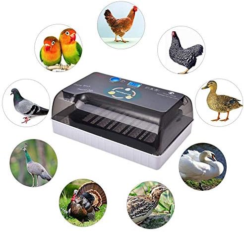 ЗАПИОН Јајце Инкубатор Автоматско Вртење За Пилешко Патка Гуска Птици Дигитална Контрола На Влажноста На Температурата 12ег