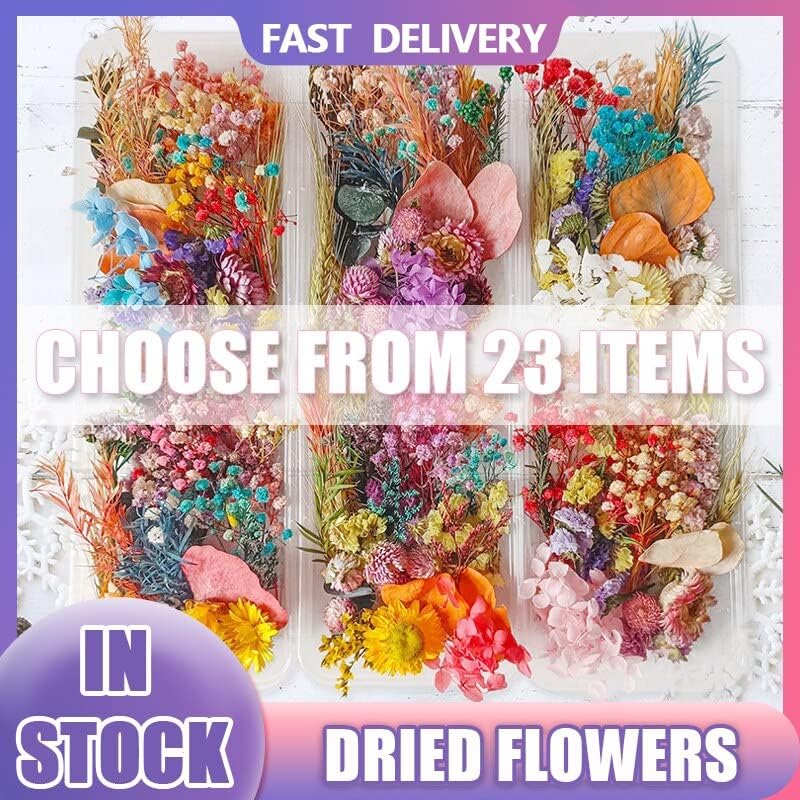 1 кутија 3Д сушена цветна декорација на ноктите Природна цветна налепница измешана сув цвет DIY NAIL ART DECAL накит за дизајн на маникир