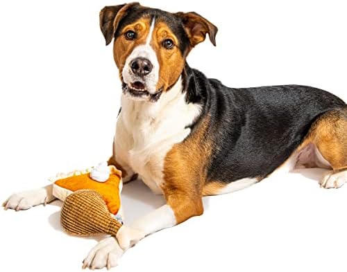 Мидли Денот На Благодарноста Оброк Куче Играчка Во Собата-Тиква пита &засилувач; Турција Нога