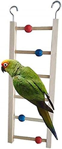 Папагал дрво скалила со куки и шарен хрчак со топка, качување по скалила, играчка за птици, замав, трајно грицкање на скалила во боја