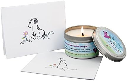 ПЕТ повеќегодишни лековити срца Меморијална свеќа за миленичиња, свеќа соја со Фенг-Шуи зачувување на каменот Губење на спомен-подароци