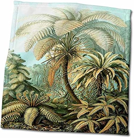 3drose Florene Vintage - Познат биолог 1904 Печатење на палми на палми - крпи