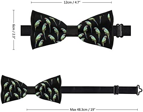 Weedkeycat alexandrine parakeet Смешна вратоврска пред-врзана формална лак врски прилагодливи лакови печатени за мажи