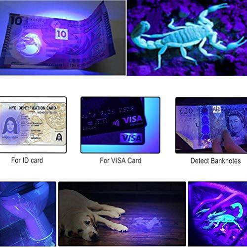Wollcocer црна светлина УВ фенерче 12 LED 395Nm за ултравиолетово сино светло факел за скорпии кучиња мачка миленичиња урина детектор флуоресцентни