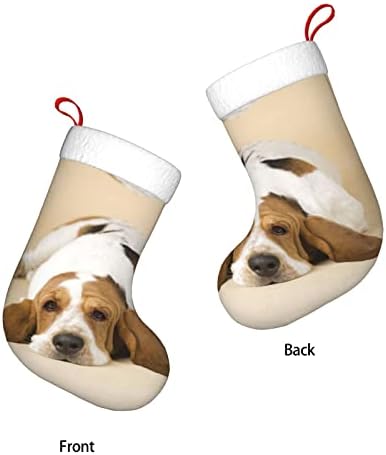 Елбул ги персонализираше Божиќните чорапи за божиќни божиќни порибни порибни украси за семејни празници