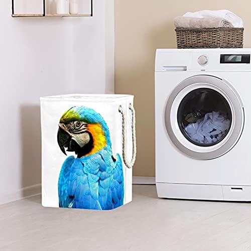 Уметнички сини папагали големи алишта за перење со лесна рачка за носење, водоотпорна корпа за перење алишта за отпадоци за складирање Детска