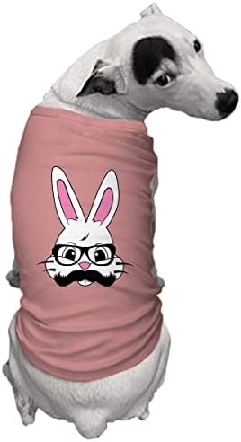 Зајаче со очила &засилувач; Мустаќи-Куче Кошула