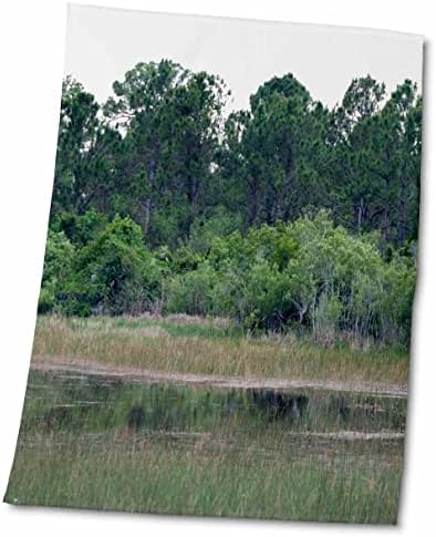 3drose Susans Zoo Frew Screenty - Флорида мочуришта борови дрвја - крпи