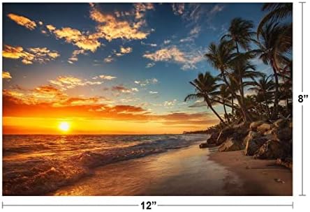 Зајдисонце над тропската плажа палма океанска фотографија Фото -фотографија Поставување Сонце остров Постер природа сцена палма Сценско релаксирачки