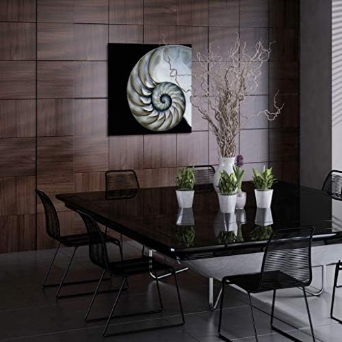 Empire Art Direct „Pearly nautilus“ без рамка без лебдечки стакло панел графичка wallидна уметност