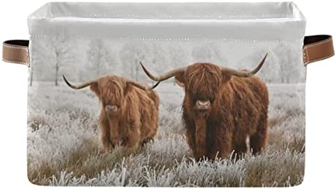 Шкотски Хајленд Корпа За Складирање Крави Корпи За Складирање Ткаенини Корпи За Бикови Куќа За Бикови Смешни Кутии За Складирање На
