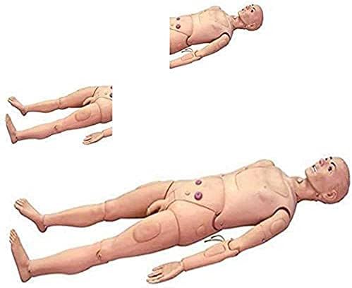 Нихе 170см Човечки Анатомски Модел Симулатор За Нега На Пациенти Мултифункционален Медицински Сестри Маникин За Медицинска Нега