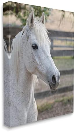 Sumn Industries Елегантен бел забележан коњ, рурална земја, платно, wallидна уметност, дизајн од Дафне Полсели