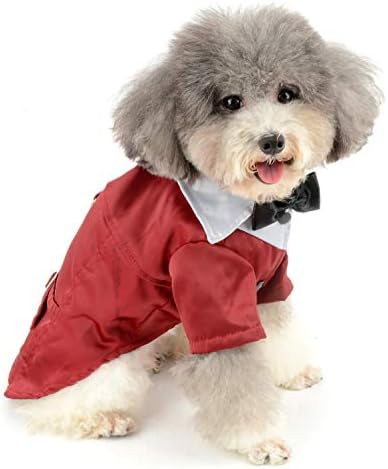 Ранфи мало кучиња смокинг костум момче кученце домашно миленичиња со Д прстен официјален лаути свадбена кошула господин, младоженец