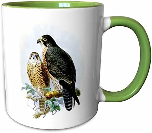 3drose Peregrine Falcon Duck Hawk Birds of Prey Vintage Art Falconry Bird - чаши