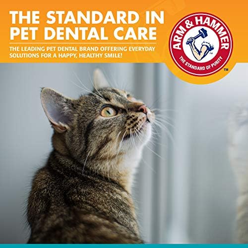 АРМ & Хамер за миленичиња Стоматолошки комплет за мачки | Го елиминира лошиот здив | Сет од 3 парчиња вклучува паста за заби за