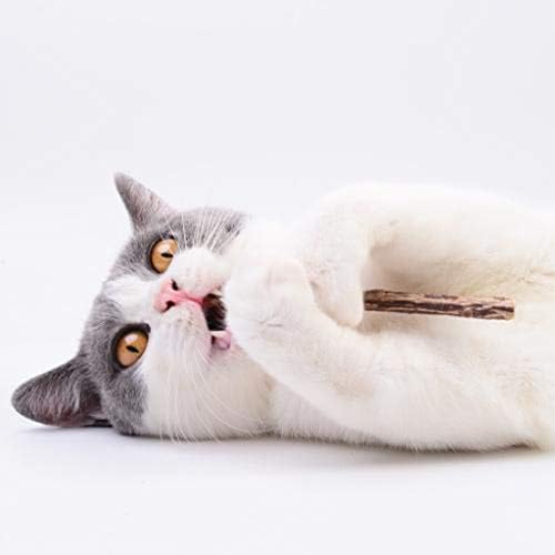 Стероза 5 парчиња природна мачка мачка моларна сребрена боја, џвакајте заби чистење на нане на нане за мачки