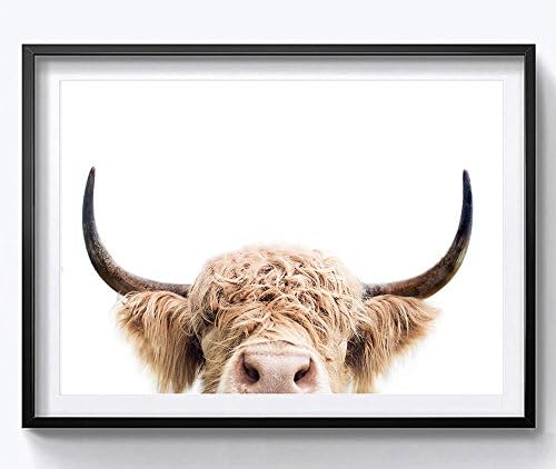 Хид уметност Хајленд крава фарма на животински платно wallидни уметности за декорација на дневна соба 8 x 10 инчи, без рамка