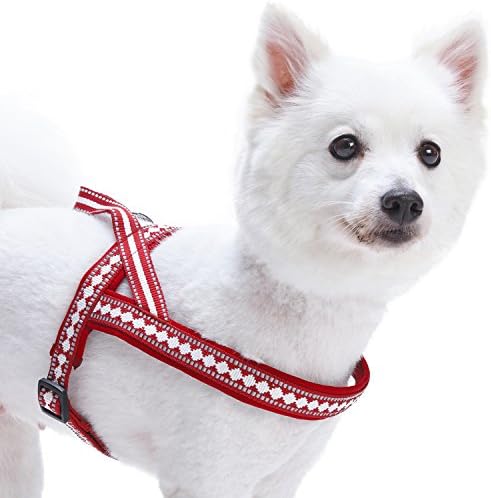 Боровинки миленичиња 4 бои меки и удобни 3м рефлексивни jacquard harness harness, градите на градите 30 - 38,5, виолетова сива, големи, прилагодливи