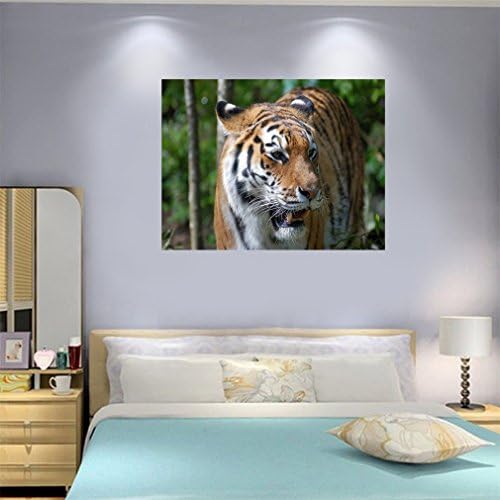 Nunubee 1pc HD природа животни масло сликарство на платно отпечатоци wallидна уметност декор позадина тигар