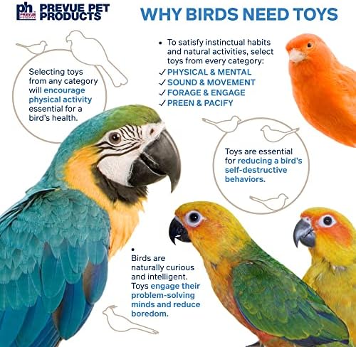 Provue Pet Products Физички и ментален Totem Totem Bird Toy 60238