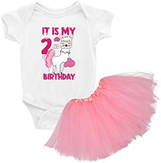 Незгодни стилови 1 -ви роденденска кошула Туту здолниште постави симпатично бебе девојче со балетска облека со фустан со еднорог фустан