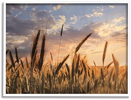 СТУПЕЛ ИНДУСТРИИ село пченица Образборно земјиште Облачно зајдисонце небо, дизајн од Лори Деитер