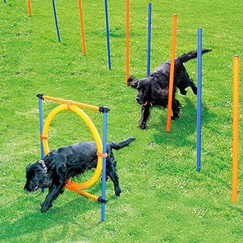 Шавиз Миленичиња Кучиња На Отворено Игри Агилност Вежба Опрема За Обука За Миленичиња Прилагодлив Висина Скокање Прстен