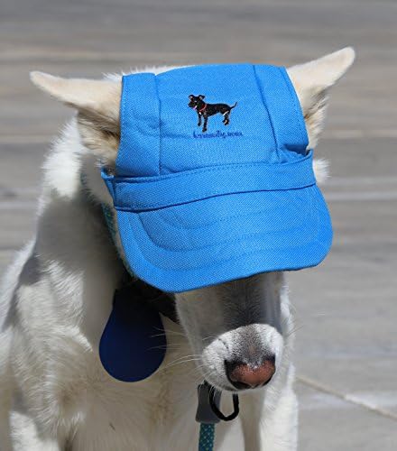 Lovewally Dog Outdoor Pet Pet Blue Slue Прилагодливи и бои