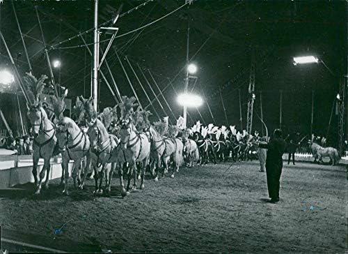 Гроздобер фотографија на Франц Алтроф со коњи за време на настапот