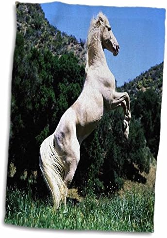 3дорозни животни од флорен - величествен коњ на Паломино - крпи
