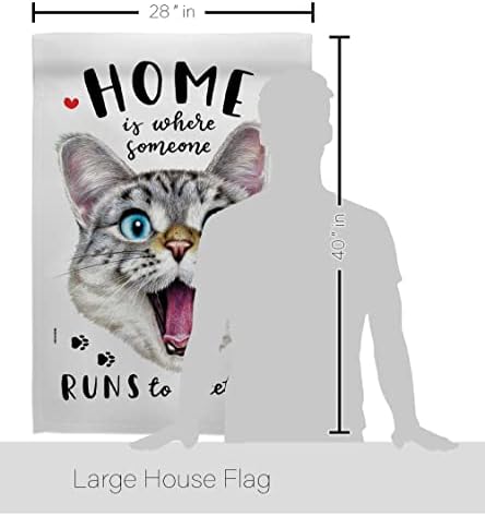 Анџелено наследство работи за да го поздрави куќиштето знаме пакет мачко маче меоу расипано шепа крзно милениче природно фарма животно