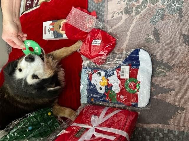 BoxDog Кикирики Снупи Паркинг со Снупи и Божиќ украсена куќа за кучиња