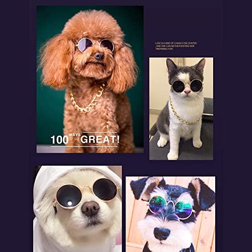 Секаден Смешни Миленичиња Класични Ретро Кружни Очила За Сонце И Златна Боја Синџир Ѓердан За Мачки Мали Кучиња