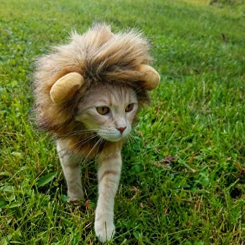 Костим за мачки лав Мане за Ноќта на вештерките, костум за мачки лав мане