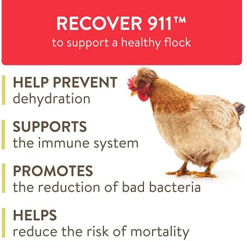 Стадото Закрепне 911, Електролит Пробиотик Пребиотик Оригано, Тежок Стрес Додаток За Пилешко Стадо, 8 МЛ