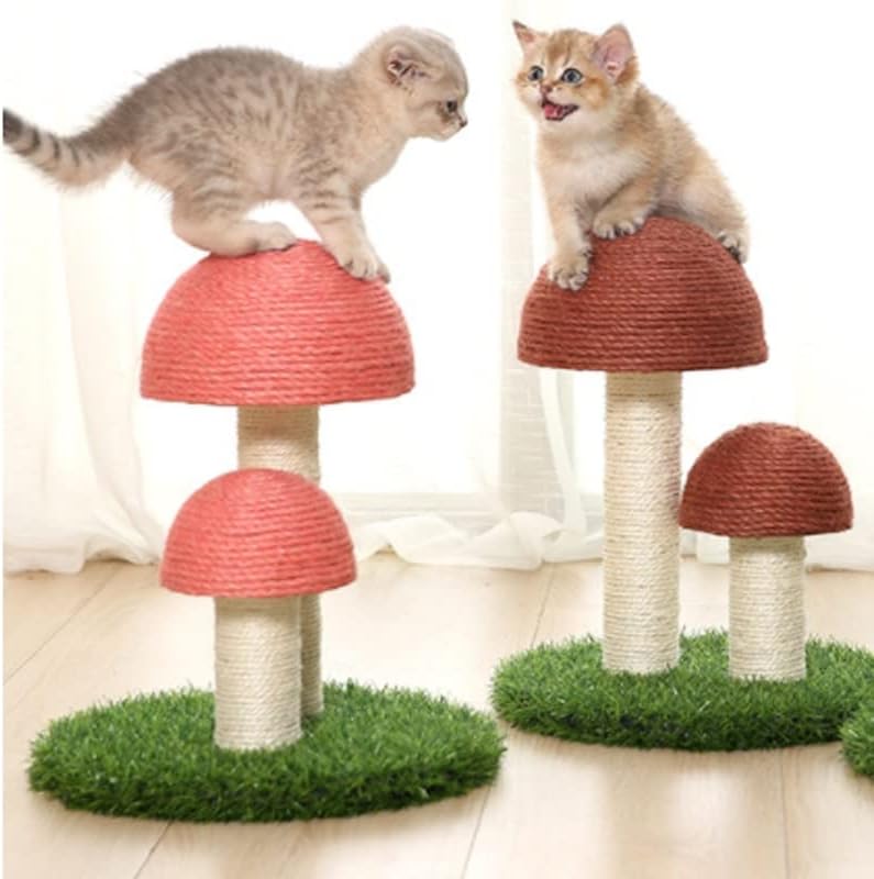 ЛЕПСЈГЦ кактус милениче мачка дрво играчка Со Топката Гребење Пост Мачка Маче Качување Печурки Кондо