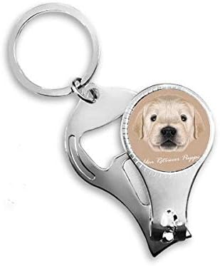 Обучен златен ретривер кутре куче животно нокти прстен прстен клуч за шише шише со шише клипер