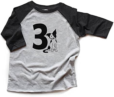 2 -ри роденденско кучиња кошула Детско момче или девојче кученце bday tshirt 2 Raglan Втор роденден