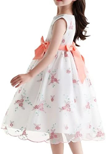 Везено фустанче за фустани, принцеза Туту девојки облекуваат мали девојчиња лето извезено 4 годишно девојче роденденски подароци