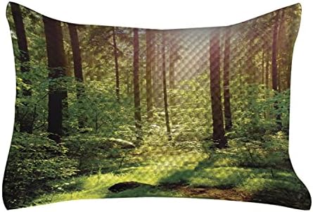 Ambesonne шума ватирана перница, шума во пролетно време зајдисонце мов шума лисја пустина фантазија за печатење, стандарден капакот