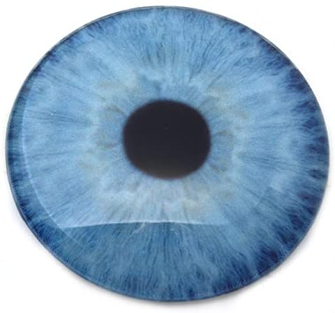 Дизајн на брадавици на Меган големи 78мм природни сини човечки стаклени очи 3 инчи големи факс таксидермиска уметност занаетчиски