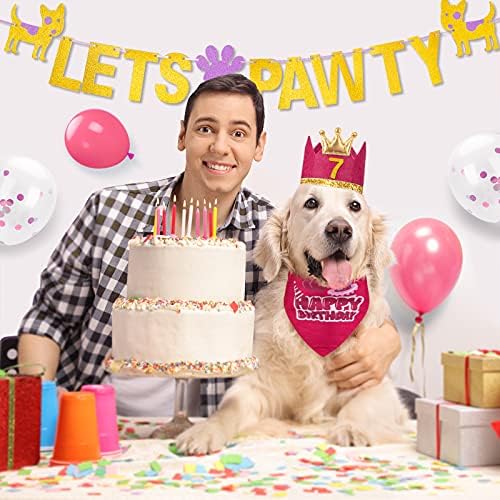 Управи за роденденска забава за кучиња - роденденски бандана со кучиња со балони за роденденска капа за забава Број на забава за кутре мали
