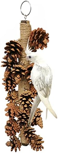 Птици од Мејксш залак играчки Папагал природни бор конуси и дрво фуражни играчки Дрвени бор конус виси папагали клун за мелење играчка