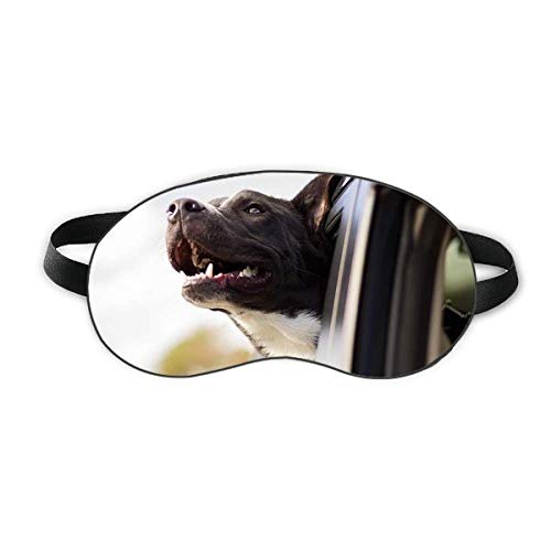 Црно куче животно фотографија слика за спиење очи за очи мека ноќно слепило на сенка