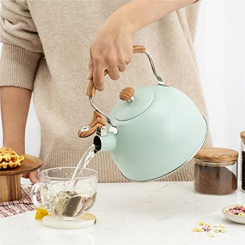 N/A не'рѓосувачки челик Свирче чајник емајл чајник со рачка отпорна на топлина за шпорет на индукција на гас