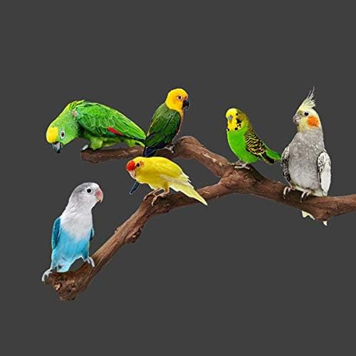 Алазон 5 парчиња птици перка природно грозје од грозје, стои за затегнување, џвакање птици играчки Природни визби кафез на птици, перки за папагали, играчка за папаг