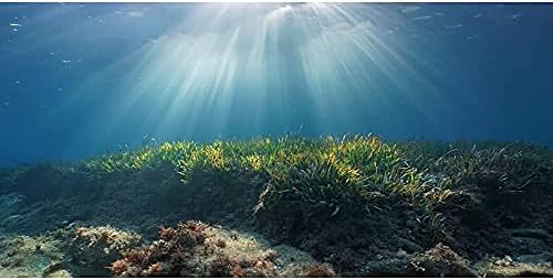 Арт океански подот Риба резервоар Позадина Подводни водни водни растенија корални аквариум позадина 24х12 инчи винил
