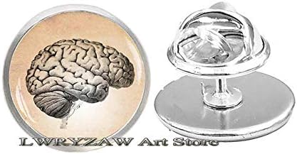Анатомски пински мозок, анатомски брош на мозокот, машка брош, човечки мозочен анатомија игла, уметничка графика, М101
