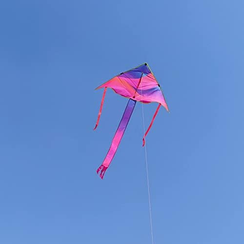 Кајденски виножито Делта змеј со долги опашки лесни за летање со летачки линии на отворено спорт за деца и возрасни